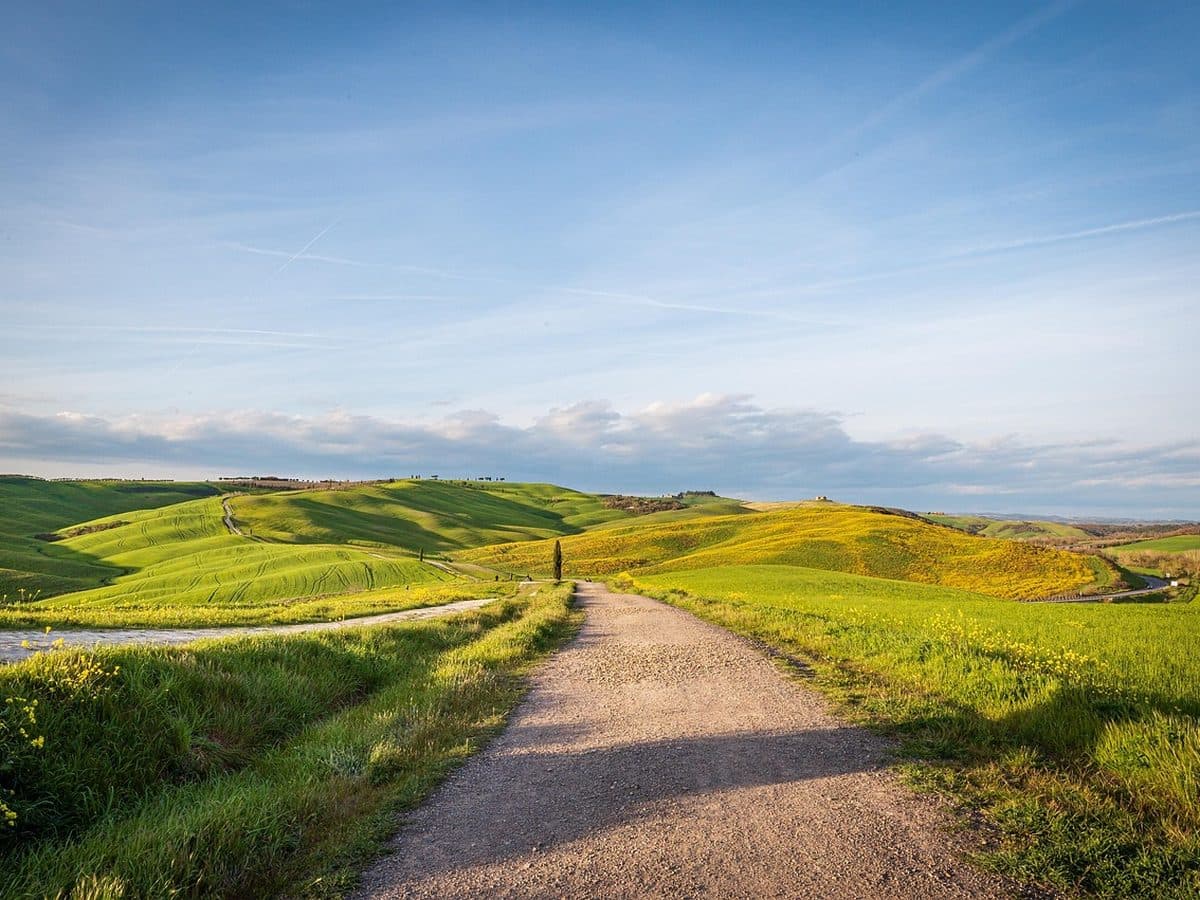Un camino de tierra entre campos verdes, hacia el horizonte